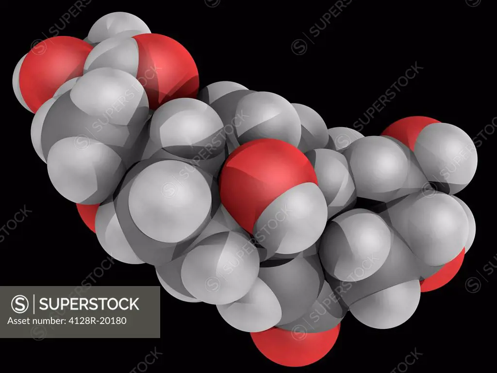 Ecdysterone 20_hydoxyecdysone, 20E, molecular model. Major steroidal insect moulting hormone. Atoms are represented as spheres and are colour_coded: c...