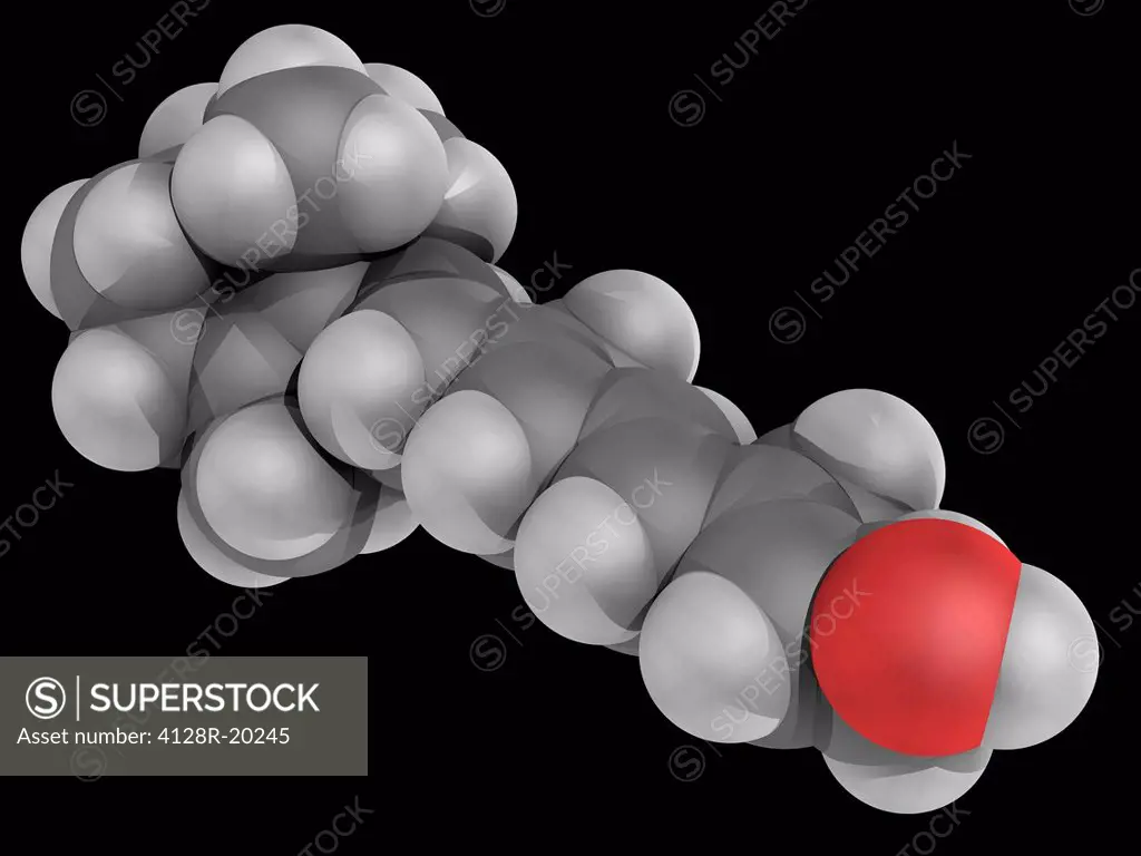 Vitamin A, molecular model. Vitamin that is needed by the retina of the eye. Atoms are represented as spheres and are colour_coded: carbon grey, hydro...