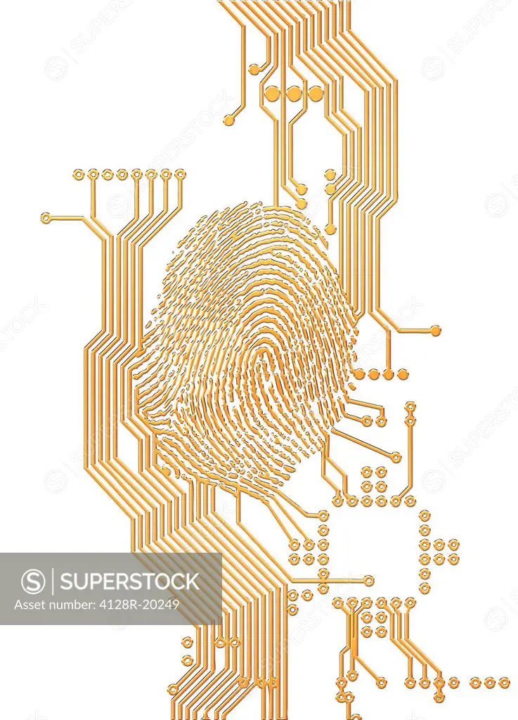 Biometric security, computer artwork.