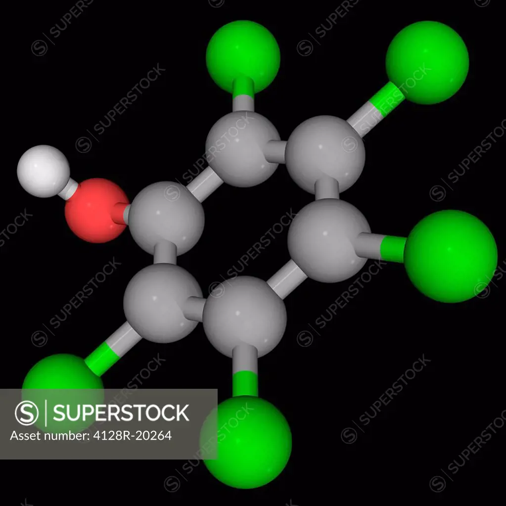 Pentachlorophenol PCP, molecular model. Organochlorine compound used as a pesticide and a disinfectant. Atoms are represented as spheres and are colou...