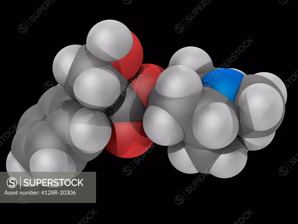 Atropine, molecular model. Naturally occurring alkaloid extracted from plants like deadly nightshade. Anticholinergic drug. Atoms are represented as s...