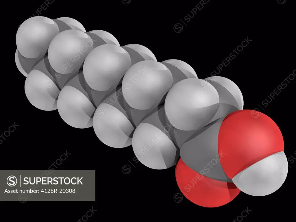 Capric acid decanoic acid, molecular model. Saturated fatty acid. Used for manufacturing esters for artificial fruit flowers and perfumes. Atoms are r...