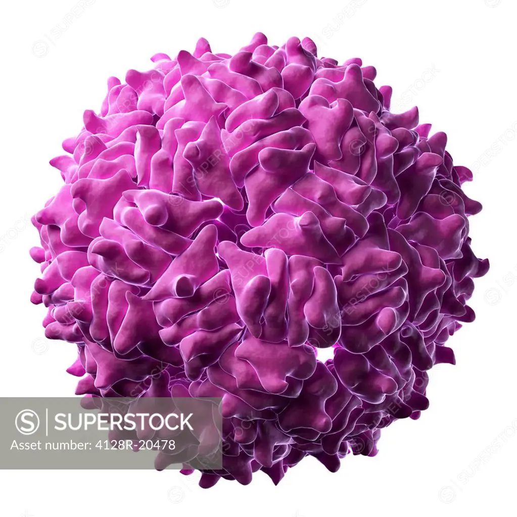RNA hairpin virus particle