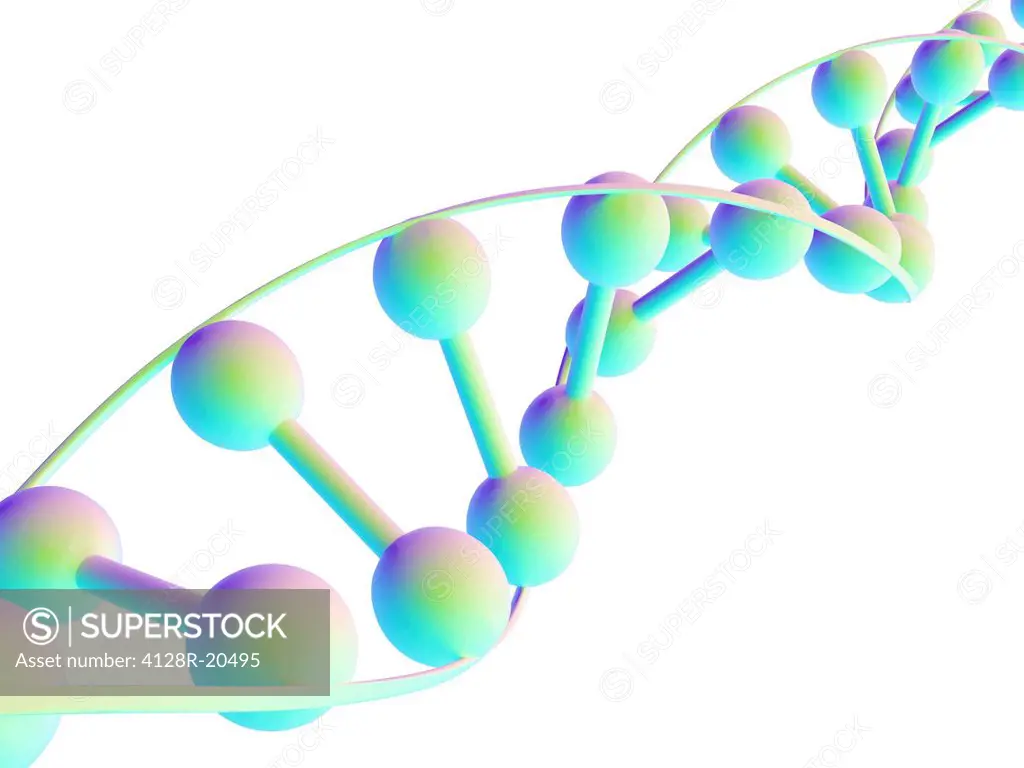 DNA molecule, computer artwork