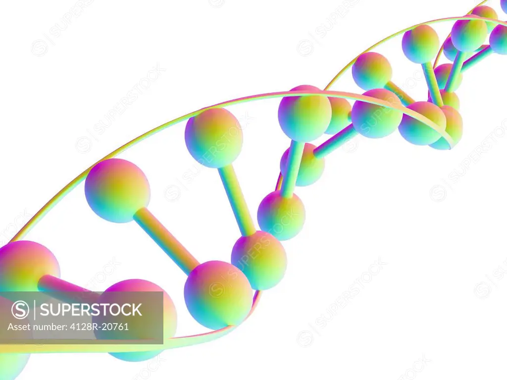 DNA molecule, computer artwork