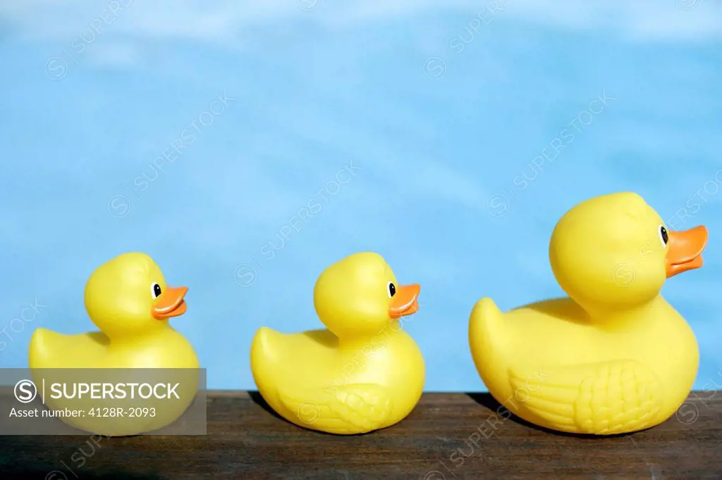 Three rubber ducks