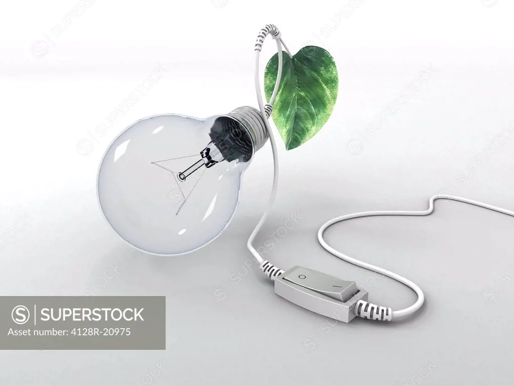 Electric light bulb, leaf and switch
