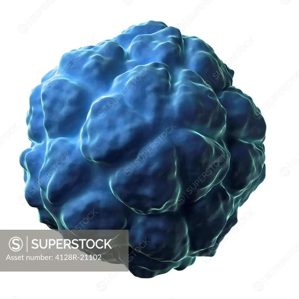Satellite tobacco necrosis virus particle