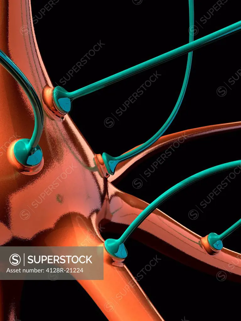 Neuron and synapses, artwork