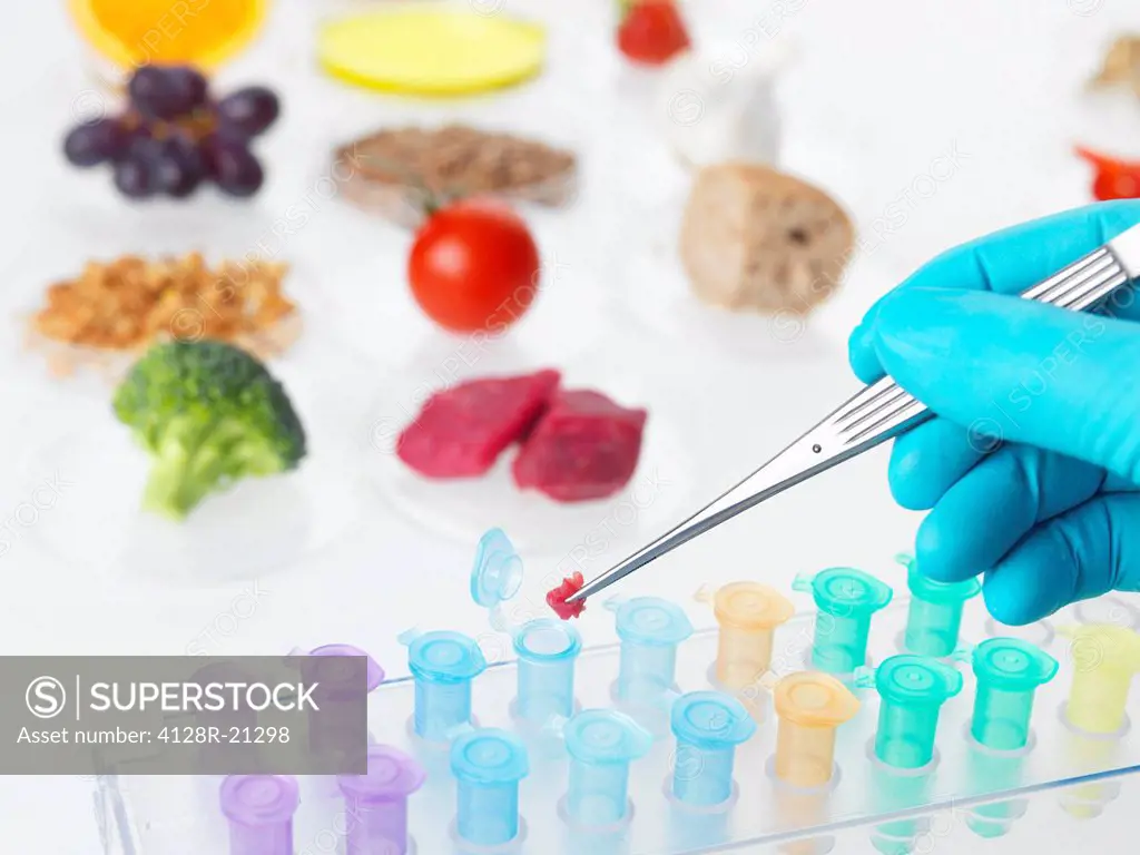 Food research, conceptual image