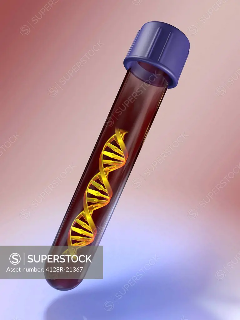 Computer artwork of a medical test tube with blood samples and a DNA helix, depicting dna profiling, genetic testing and other DNA based tests.