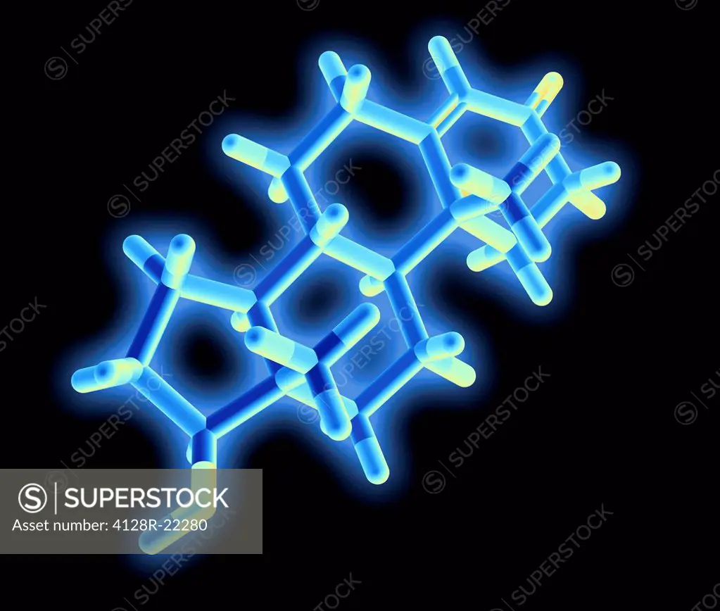 Testosterone hormone. Molecular model of the structure of the male sex hormone testosterone. Shown as coloured rods. Testosterone is the main human an...