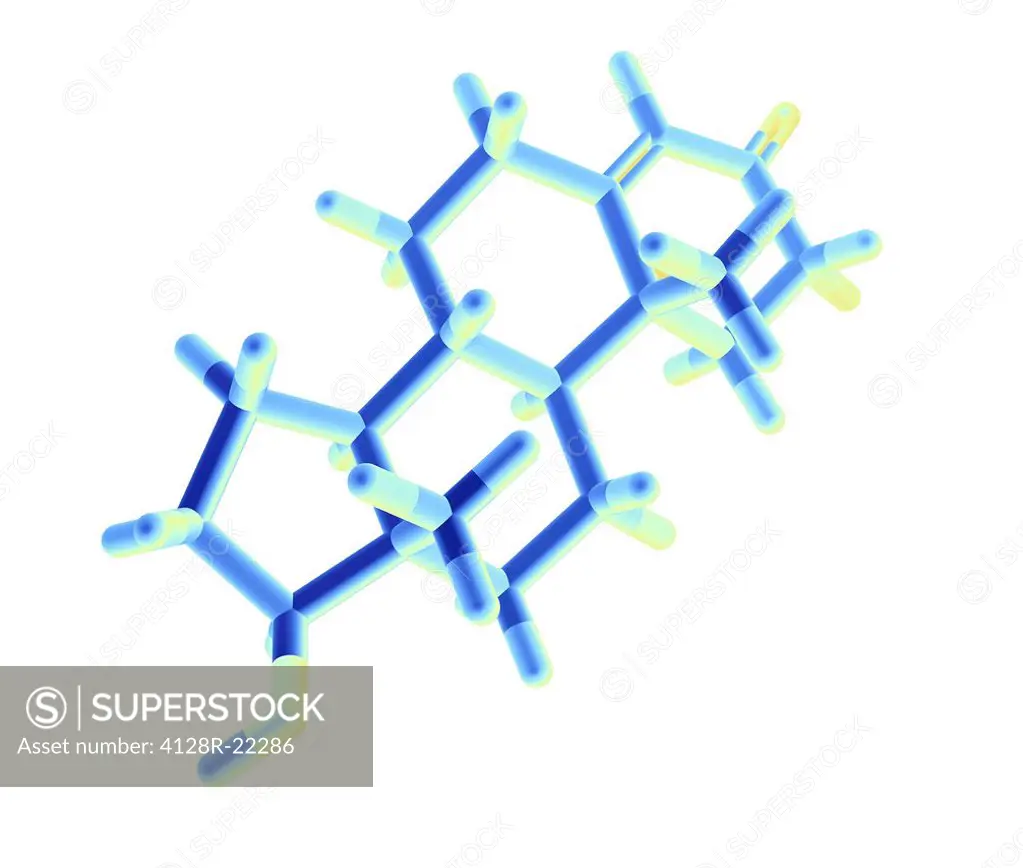Testosterone hormone. Molecular model of the structure of the male sex hormone testosterone, shown as coloured rods. Atoms are represented as rods and...