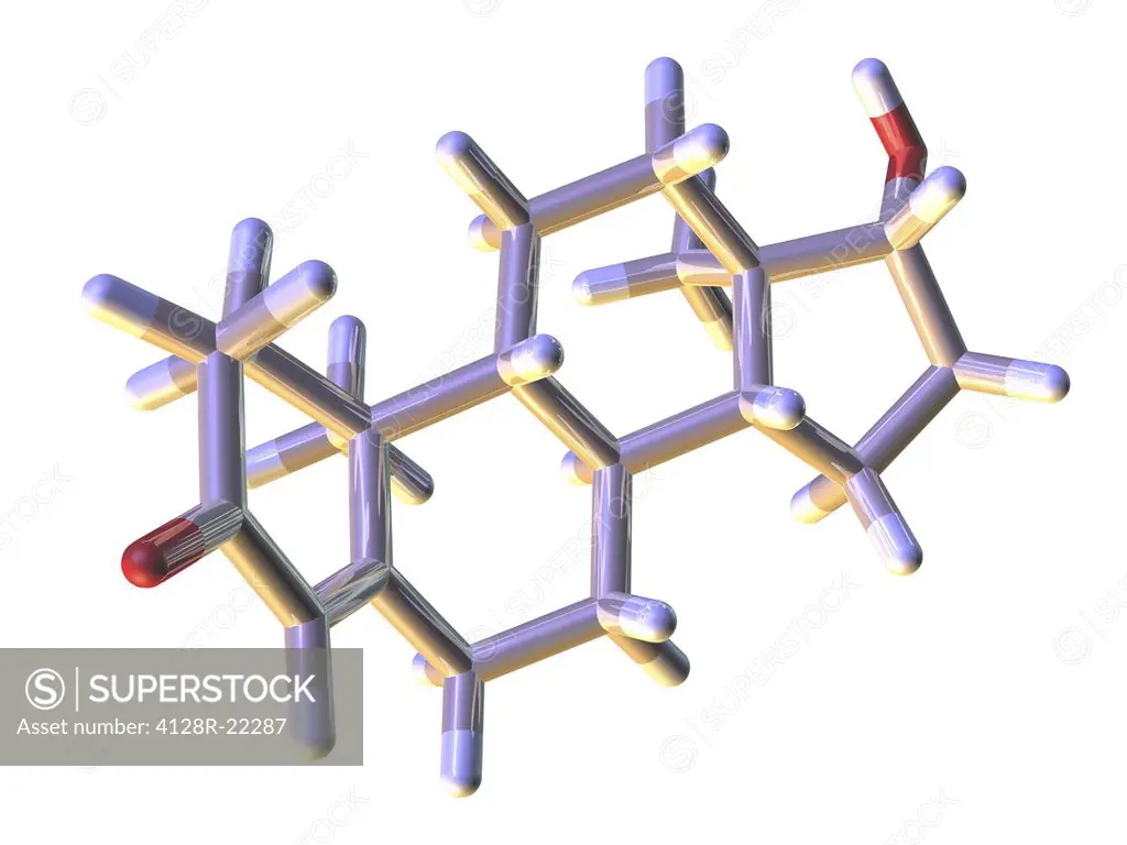 Testosterone hormone. Molecular model of the structure of the male sex hormone testosterone, shown as coloured rods. Atoms are represented as rods and...