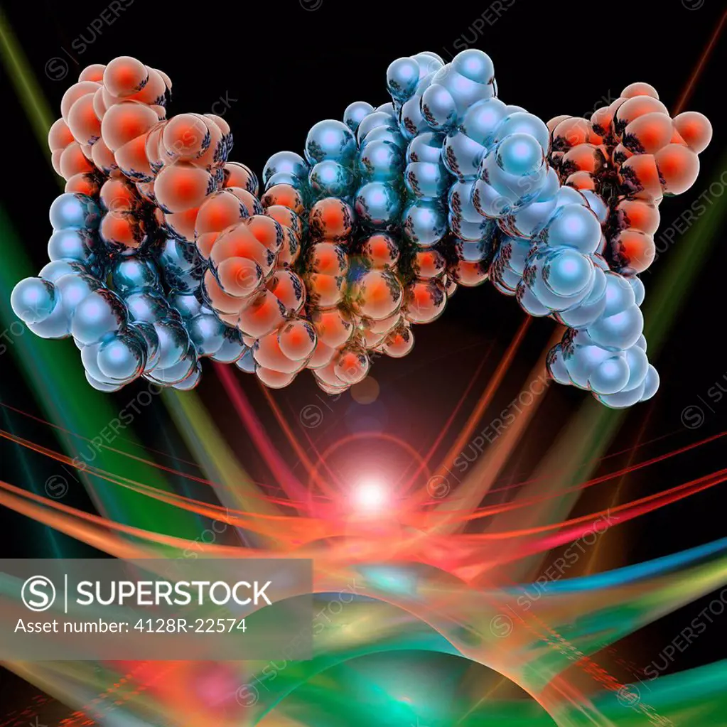 DNA molecule. Molecular model of DNA deoxyribonucleic acid.