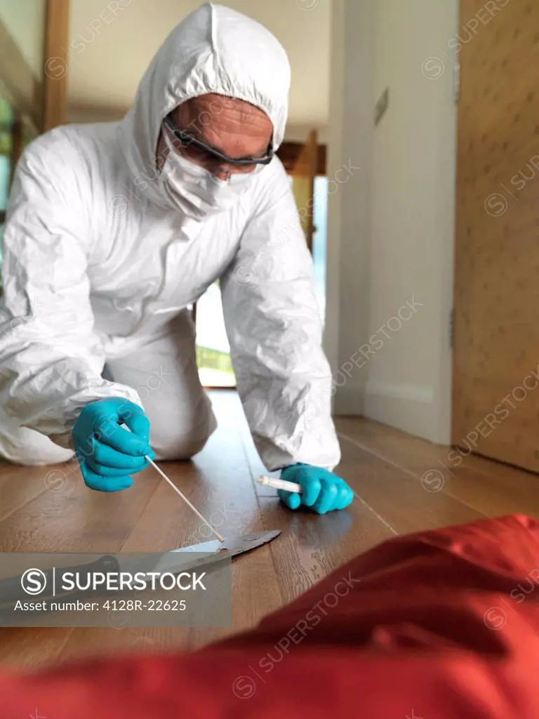 MODEL RELEASED. Collecting forensic evidence. Forensic scientist at the scene of a crime taking a DNA deoxyribonucleic acid sample from knife.
