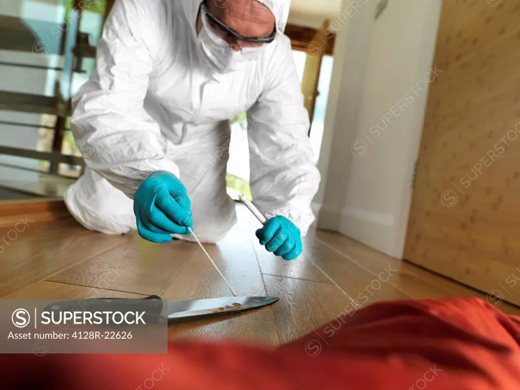 MODEL RELEASED. Collecting forensic evidence. Forensic scientist at the scene of a crime taking a DNA deoxyribonucleic acid sample from knife.