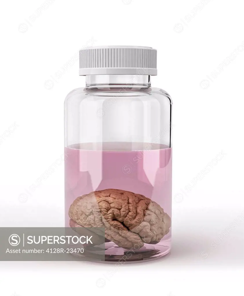 Preserved brain, computer artwork.