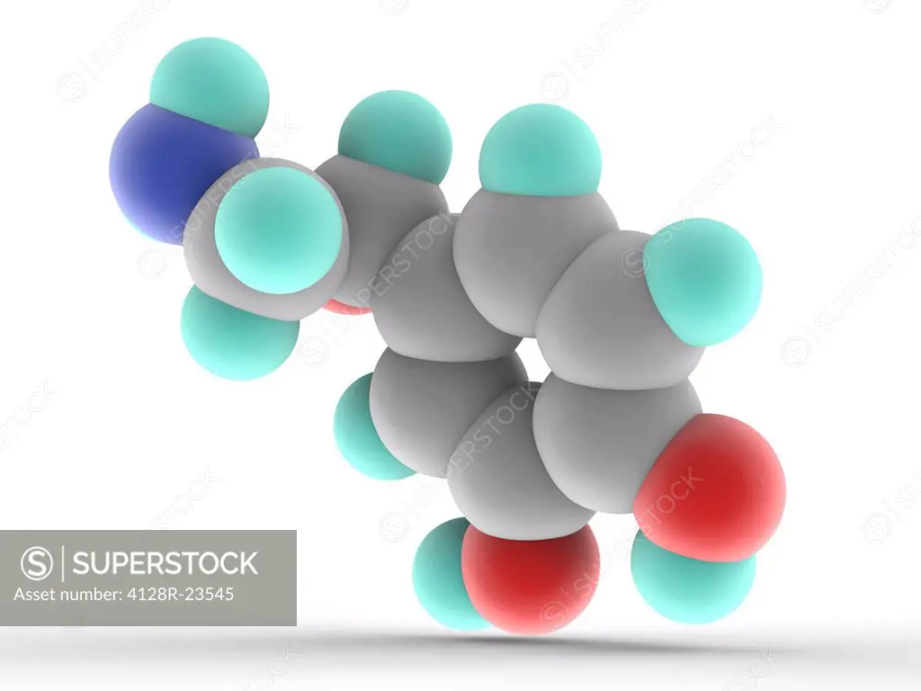 Noradrenaline norepinephrine, belonging to the group of catecholamines, molecular model. Catecholamine acting also as a hormone and a neurotransmitter...