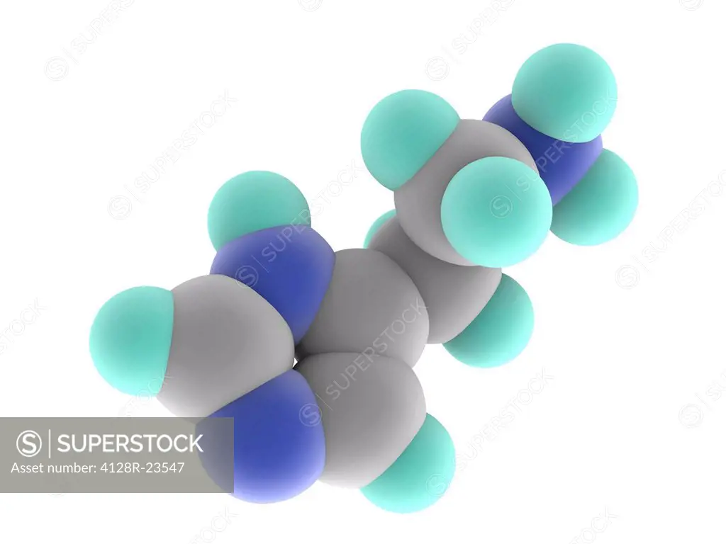 Histamine, molecular model. Organic nitrogen compound involved in immune response and acting as a neurotransmitter. Atoms are represented as spheres a...