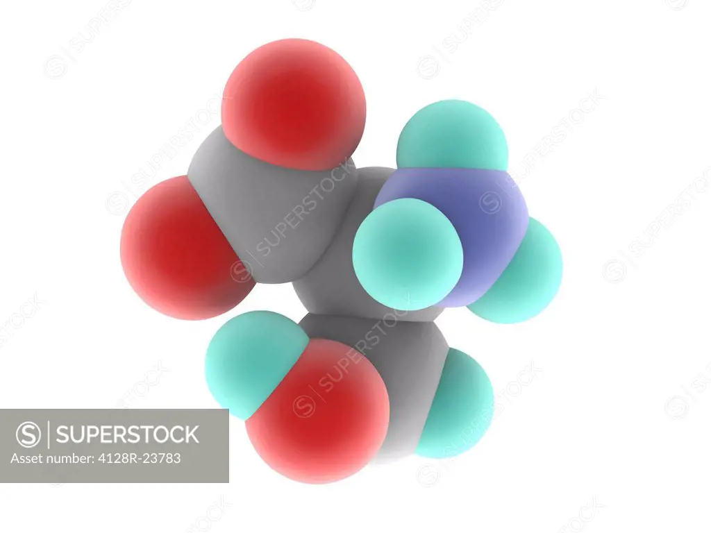 Serine, molecular model. Non_essential proteinogenic amino acid. Atoms are represented as spheres and are colour_coded: carbon grey, hydrogen blue_gre...