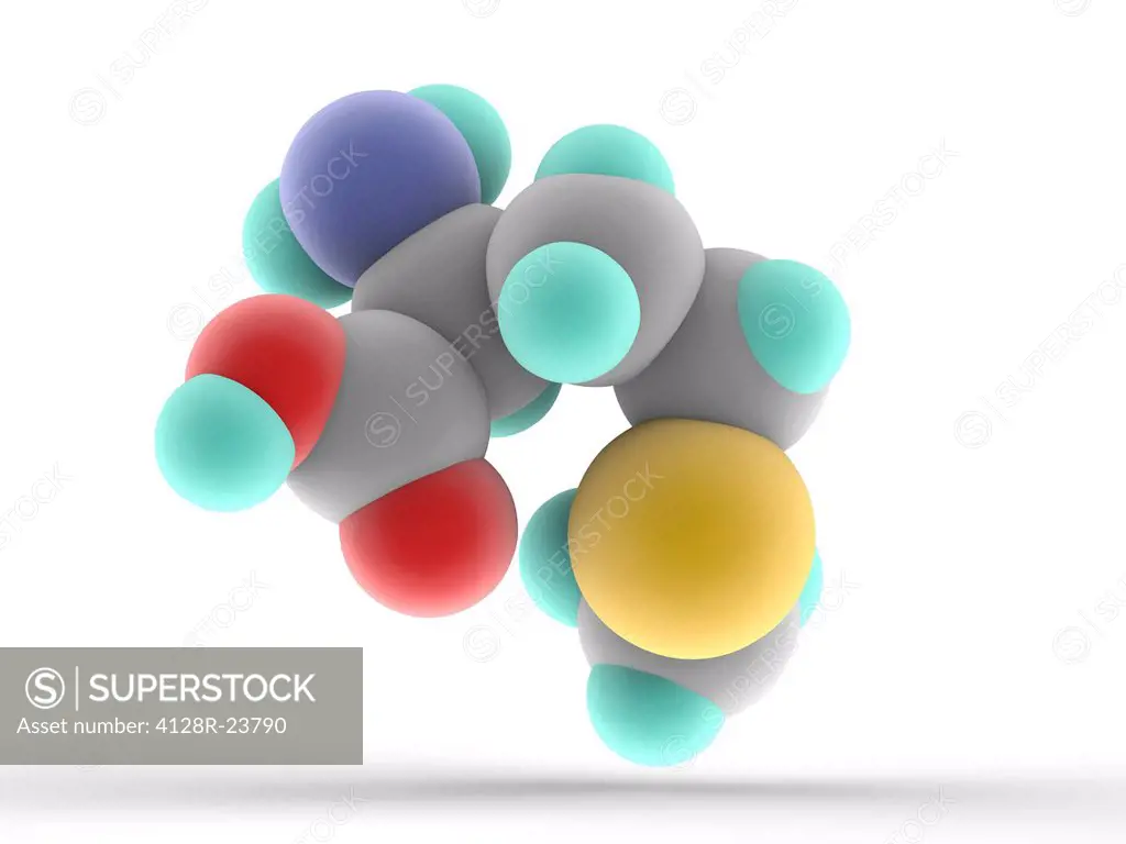 Methionine, molecular model. Essential alpha_amino acid. Atoms are represented as spheres and are colour_coded: carbon grey, hydrogen blue_green, nitr...