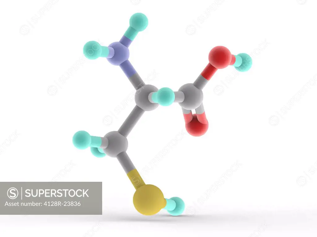 Cysteine, molecular model. Non-essential alpha-amino acid. Atoms are represented as spheres and are colour-coded: carbon (grey), hydrogen (blue-green)...