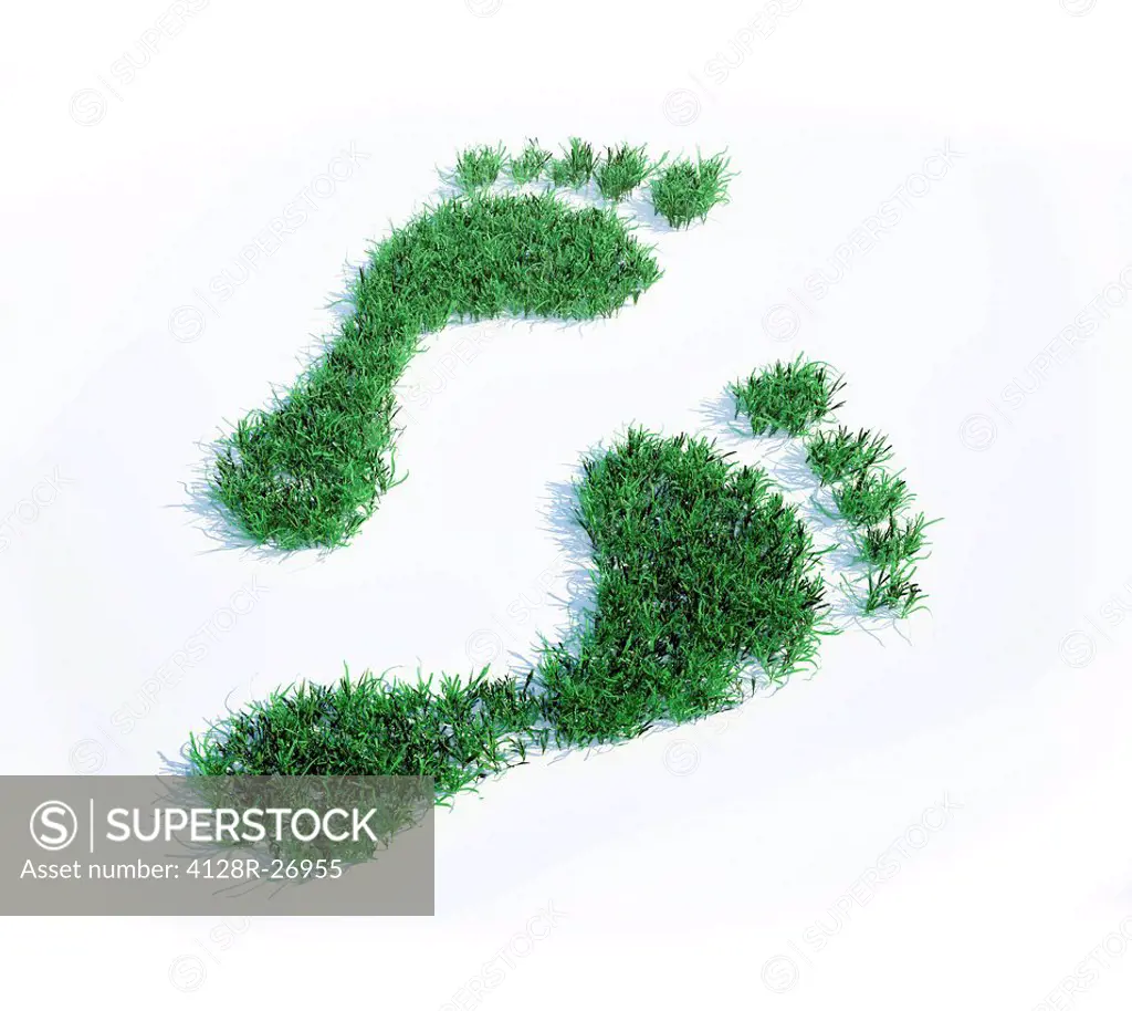 Ecological footprint, conceptual computer artwork.