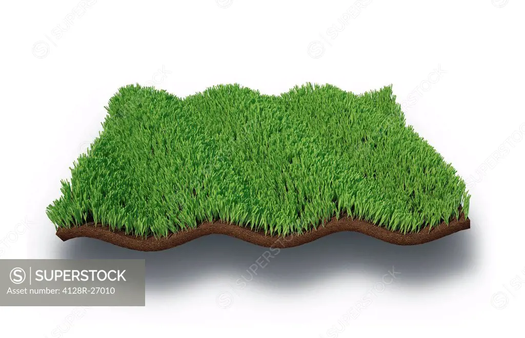 Grass, computer artwork.