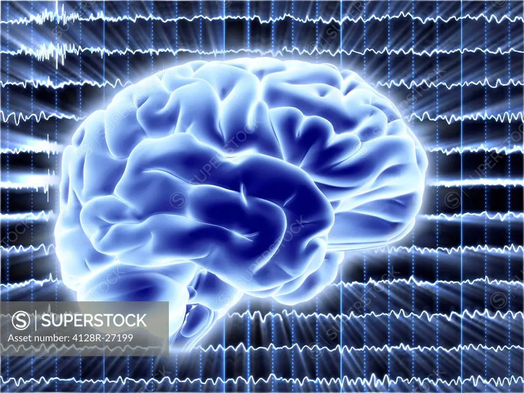 Brain activity. Computer artwork of EEG (electroencephalogram) traces and a brain illustration. An EEG records the brain's activity.