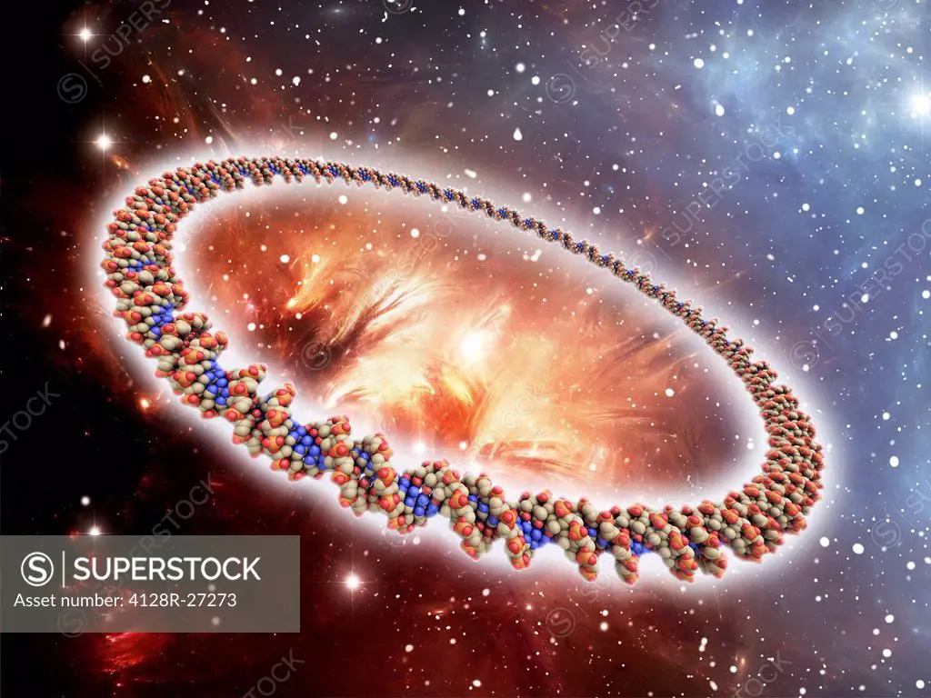 Circular DNA (deoxyribonucleic acid) molecule, computer artwork and space nebula artwork, depicting origin of life.