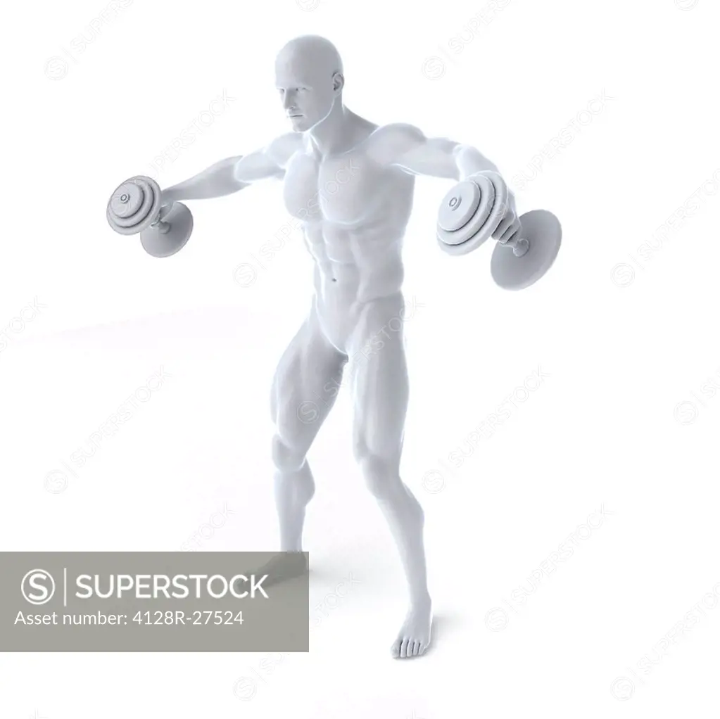 Bodybuilder lifting weights, computer artwork.