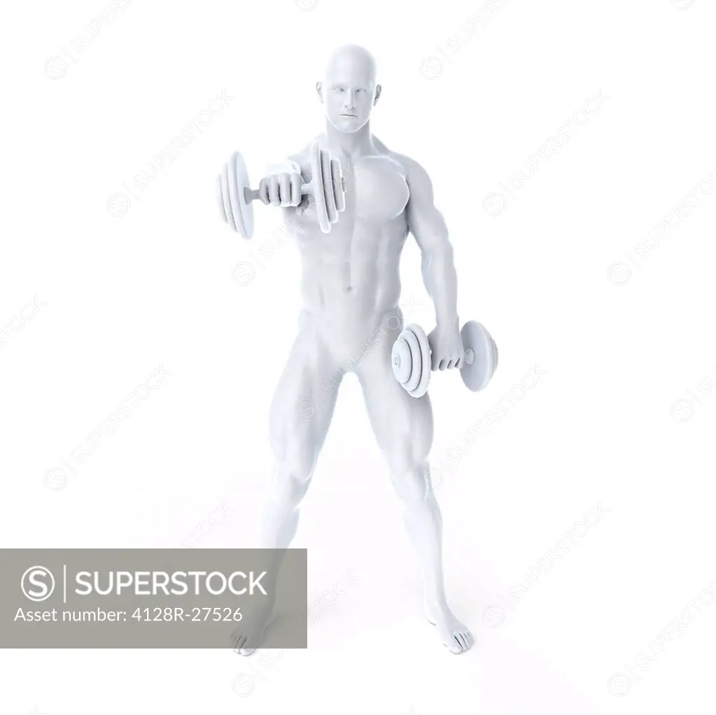 Bodybuilder lifting weights, computer artwork.