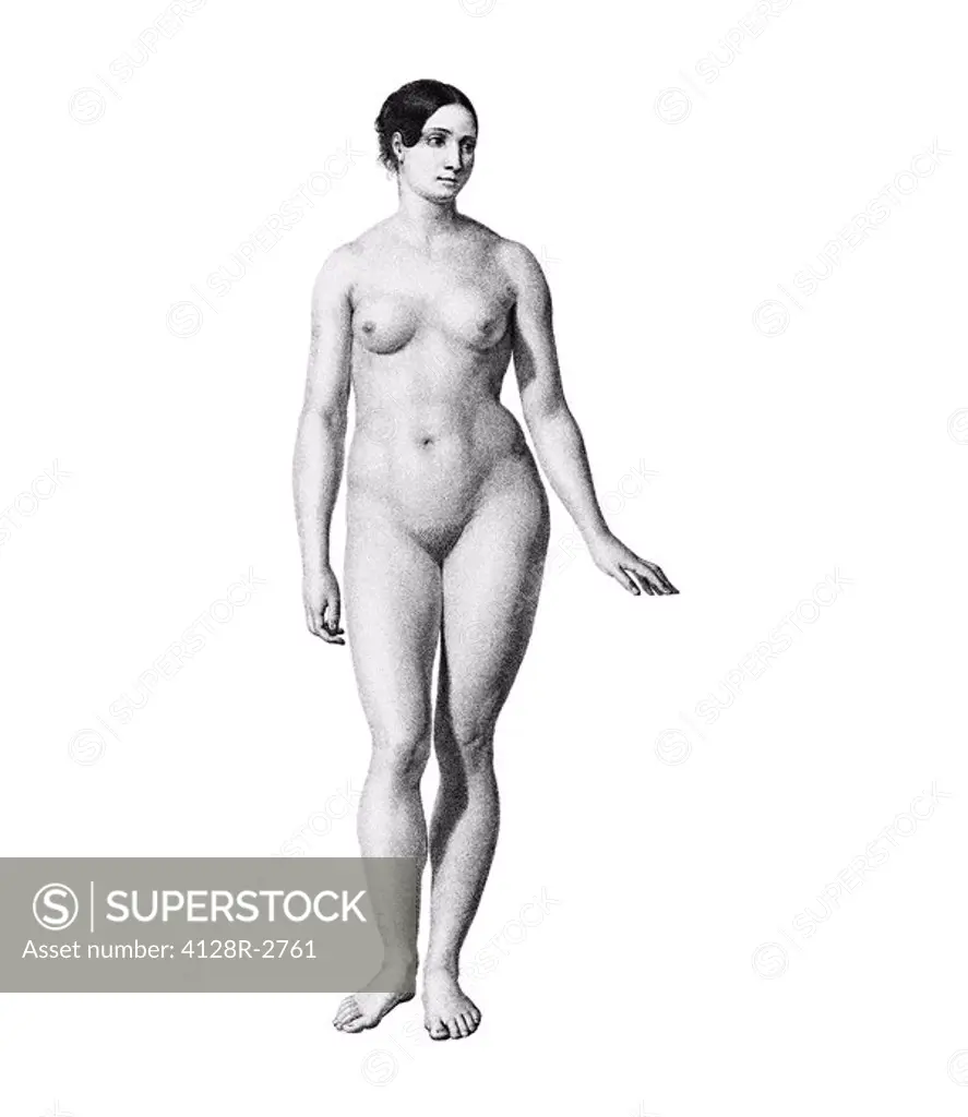 Female nude, artwork.