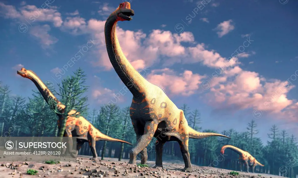Brachiosaurus was a herbivorous dinosaur that lived roughly 150 million years ago during the Jurassic Period. One of the largest known species of saur...