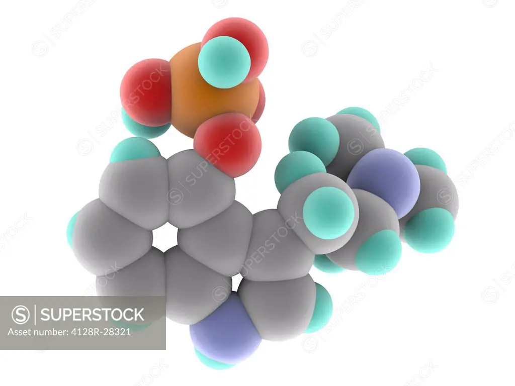 Psilocybin, molecular model. Naturally occurring psychedelic compound found in psilocybin mushrooms. The effects include euphoria and hallucinations. ...
