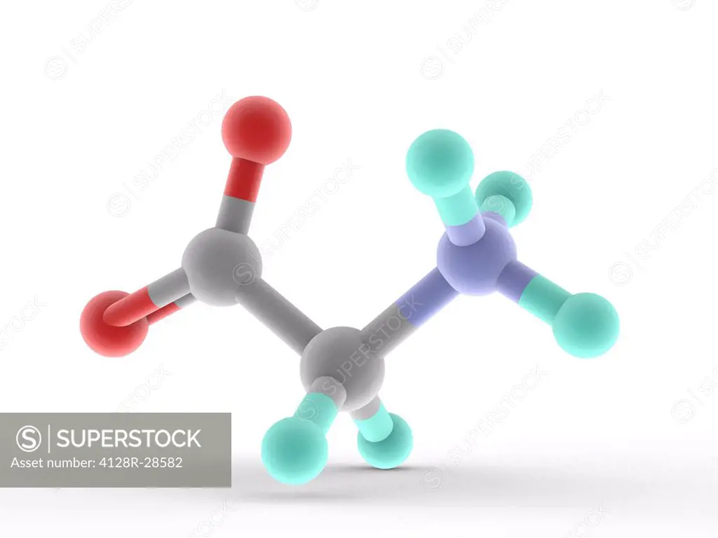Glycine, molecular model. The smallest of the 20 amino acids found in proteins. Atoms are represented as spheres and are colour-coded: carbon (grey), ...