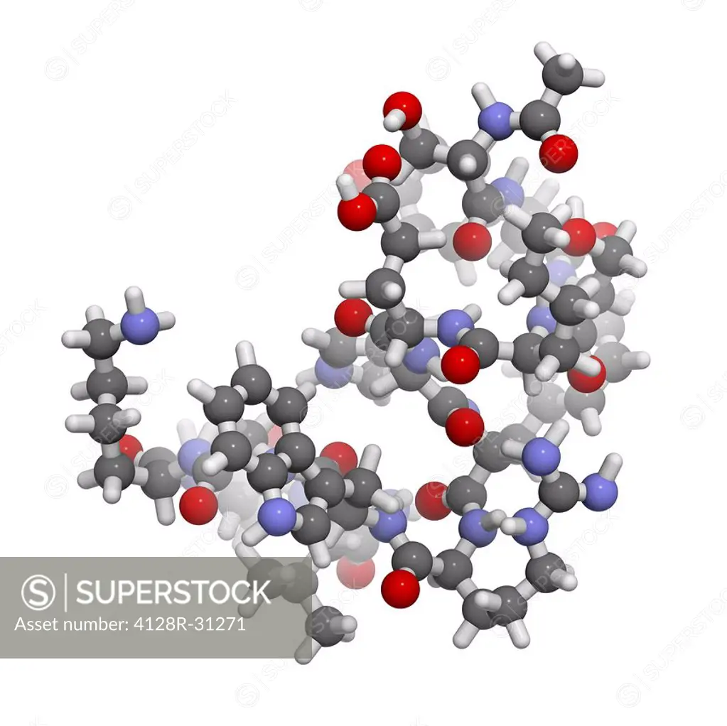 Afamelanotide skin pigmentation drug, molecular model. Afamelanotide is an analogue of alpha-melanocyte stimulating hormone (a-MSH). It is approved fo...