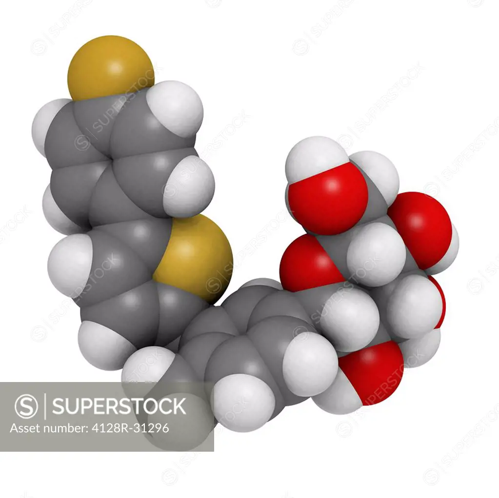 Canagliflozin type 2 diabetes drug, molecular model. Atoms are represented as spheres and are colour-coded: hydrogen (white), carbon (grey), oxygen (r...