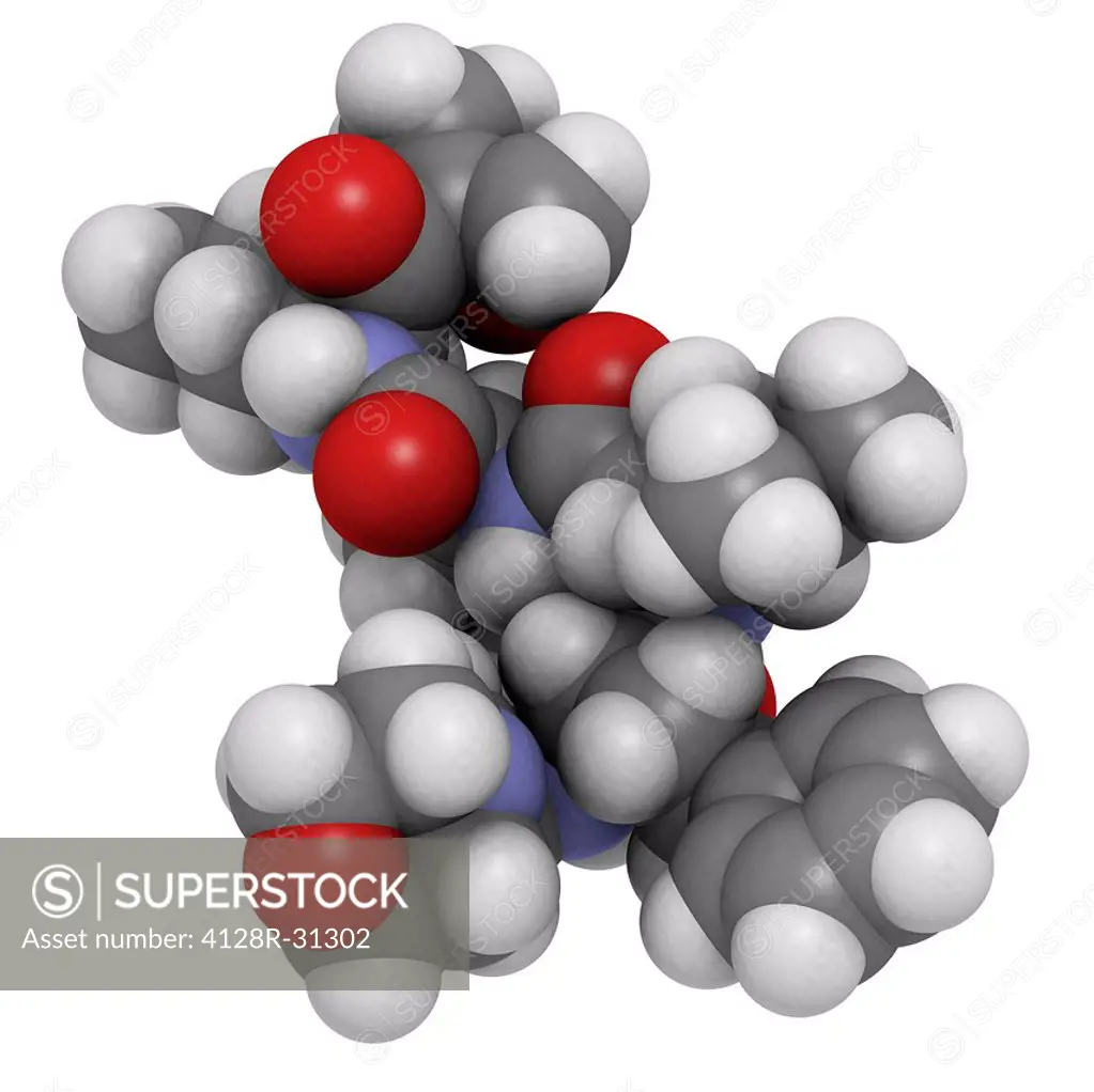 Carfilzomib cancer drug, molecular model. Carfilzomib is a proteasome inhibitor that is used in cancer treatment. Atoms are represented as spheres and...