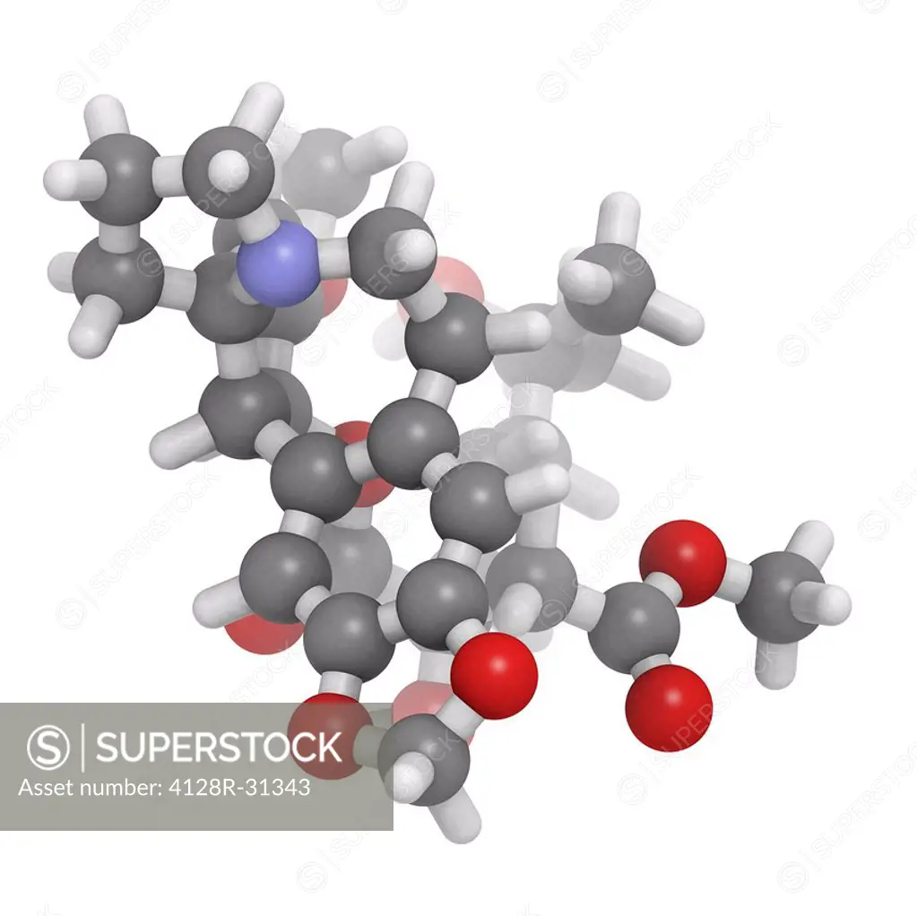 Omacetaxine mepesuccinate leukemia drug, molecular model. This drug inhibits protein synthesis and is used in the treatment of chronic myelogenous leu...