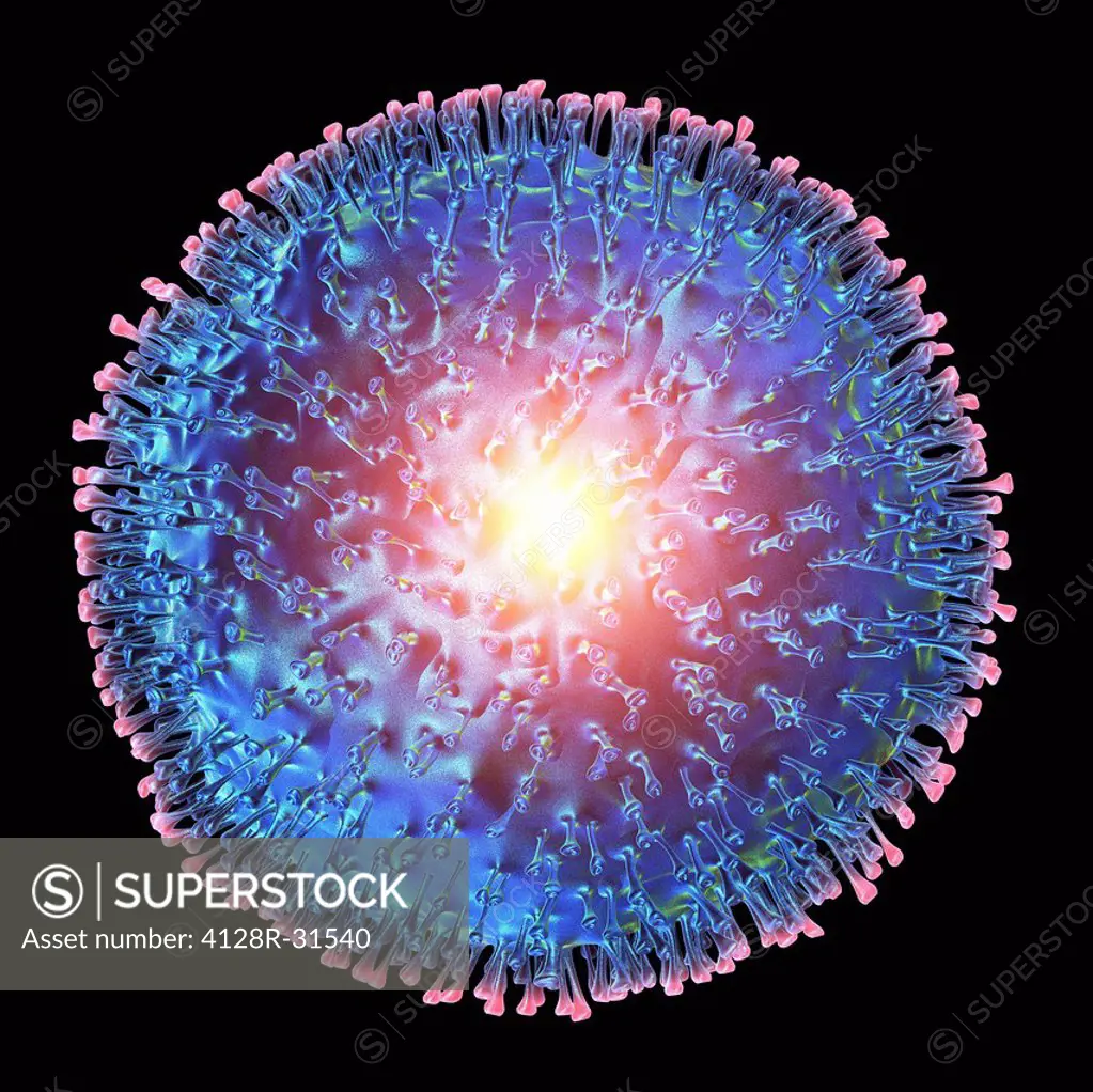 Avian flu virus, computer artwork. A virus is a tiny pathogenic particle comprising genetic material enclosed in a protein coat. The coat contains sur...