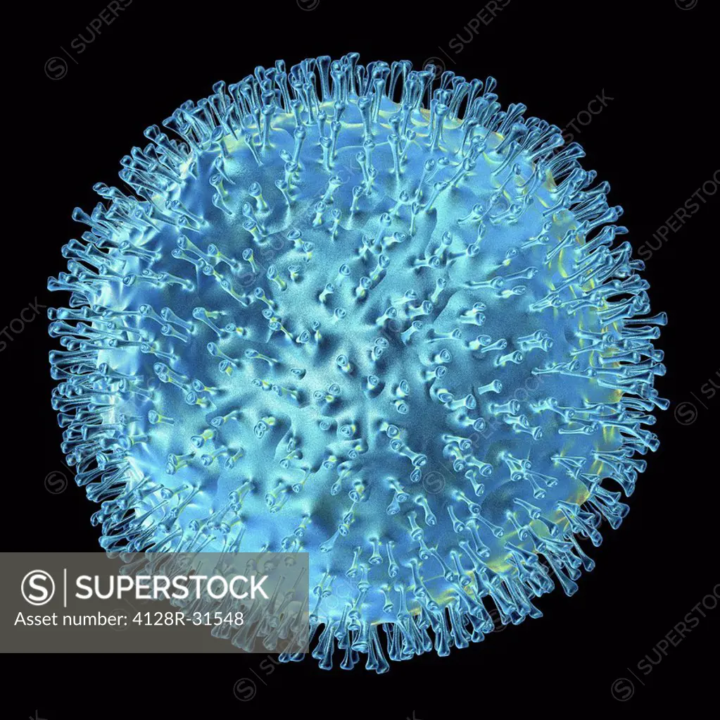 Avian flu virus, computer artwork. A virus is a tiny pathogenic particle comprising genetic material enclosed in a protein coat. The coat contains sur...