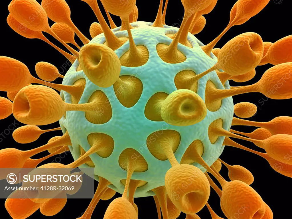 Computer artwork of a generic virus particle, depicting virus types like corona, bird flu, aids, influenza, swine flu and herpes.