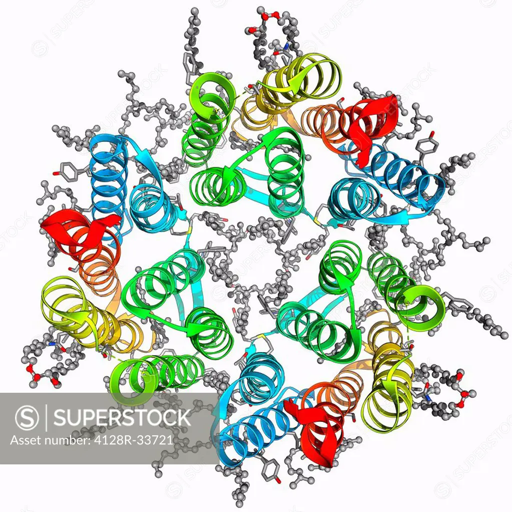 Bacteriorhodopsin protein. Molecular model showing the structure of bacteriorhodopsin (bR), a protein found in primitive micro-organisms known as Arch...