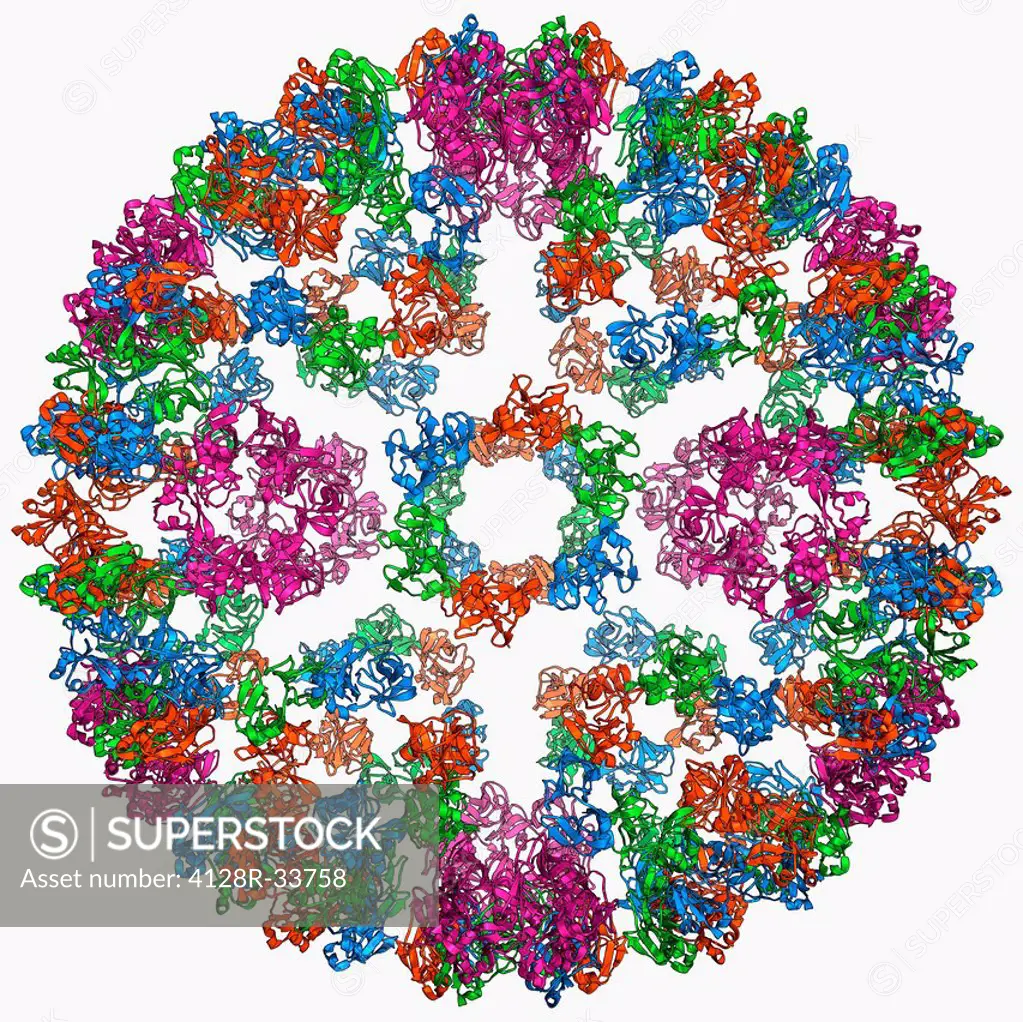 Semliki forest virus capsid, molecular model. This virus, named for the forest in Uganda where it was identified, is spread by the bite of mosquitoes....