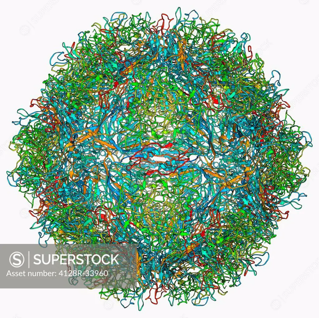 Parvovirus particle. Molecular model showing the structure of the capsid (outer protein coat) of a human parvovirus (family Parvoviridae) particle. Pa...