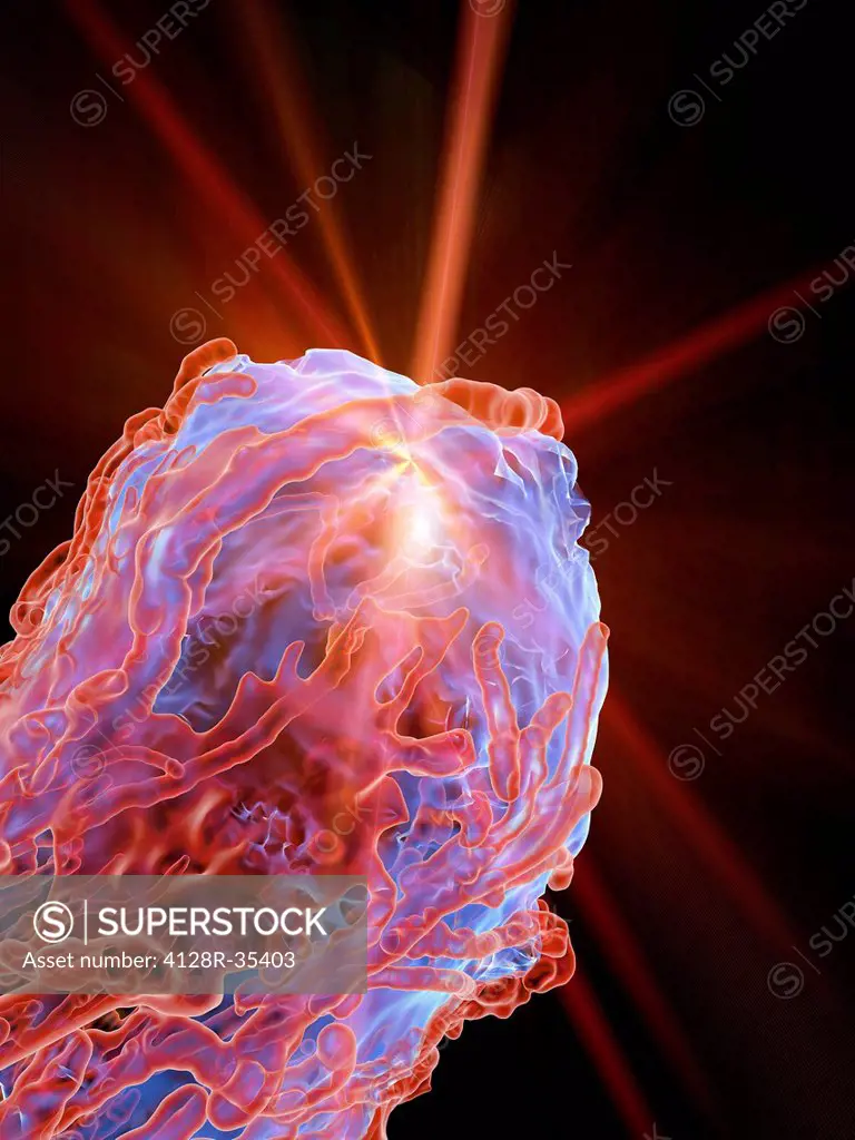 Cancer treatment, conceptual image. Computer artwork representing the use of radiation in tumour treatment. Tumours are caused by the uncontrolled gro...