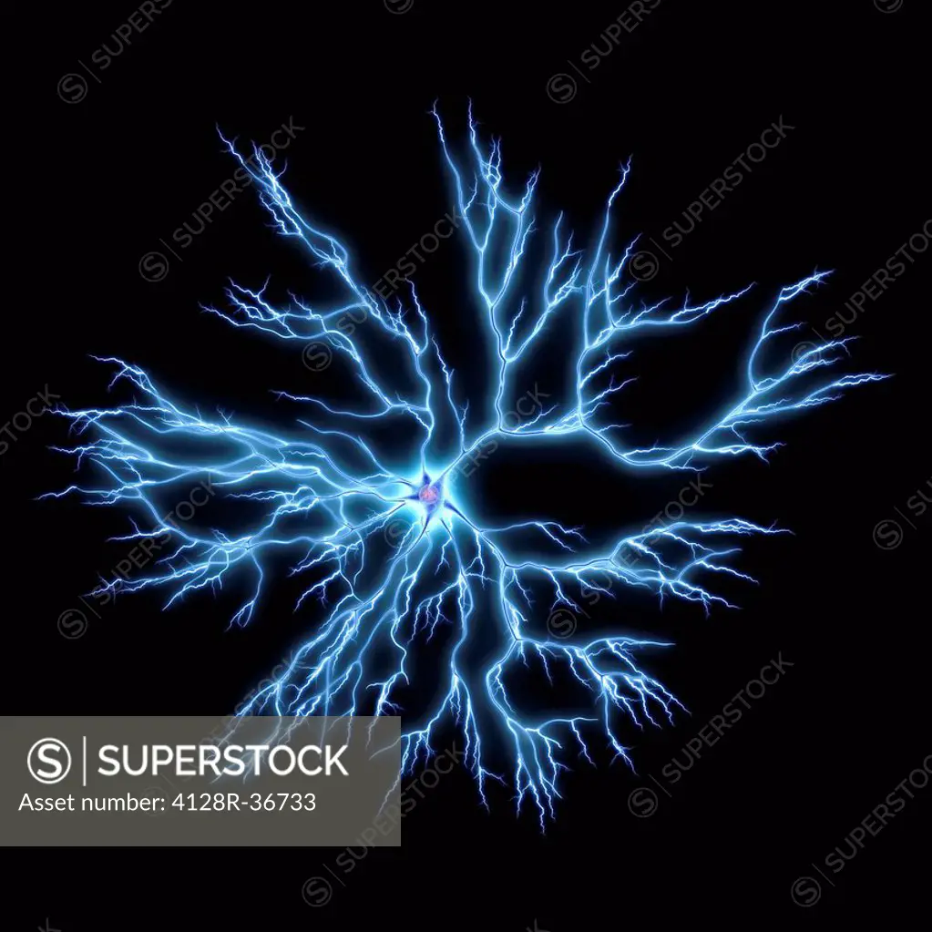 Computer artwork of a nerve cells, also called neuron. Neurons are responsible for passing information around the central nervous system (CNS) and fro...
