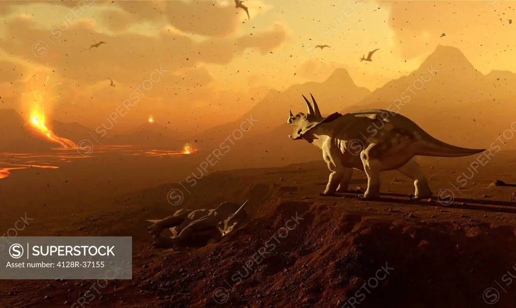 Artwork of a triceratops dinosaur surveying a volcanic landscape. This depicts a scene at the end of the Cretaceous period in Earth's history. A massi...